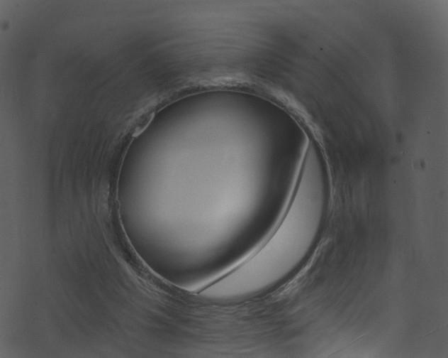 X0000074260201200608250908