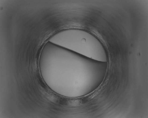 X0000074260202200608250908