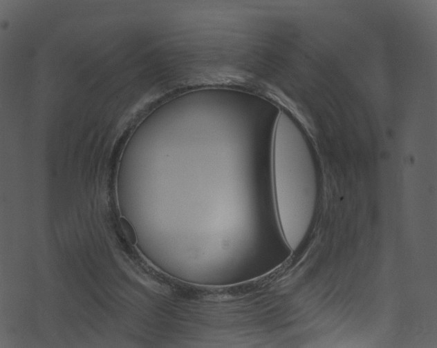 X0000074260203200608250908