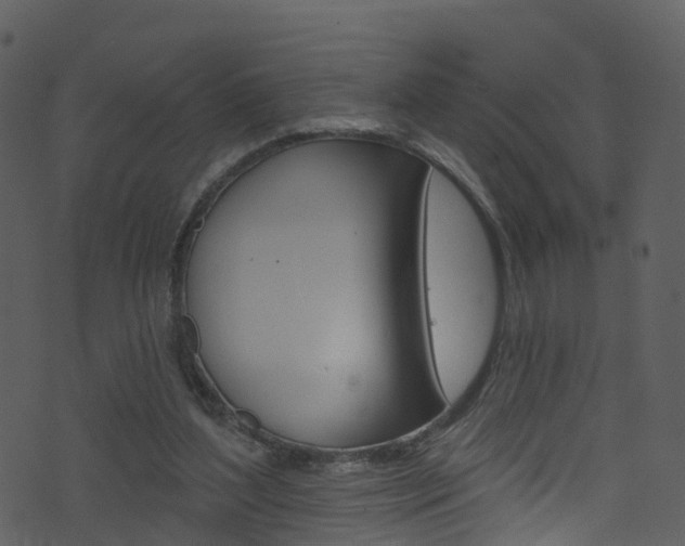 X0000074260204200608250908