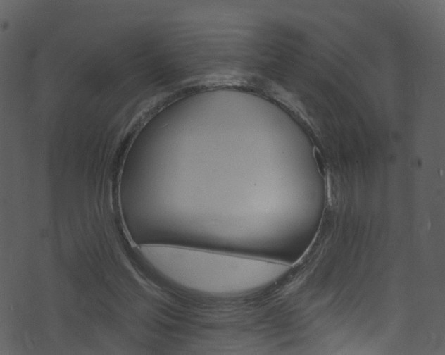 X0000074260205200608250908