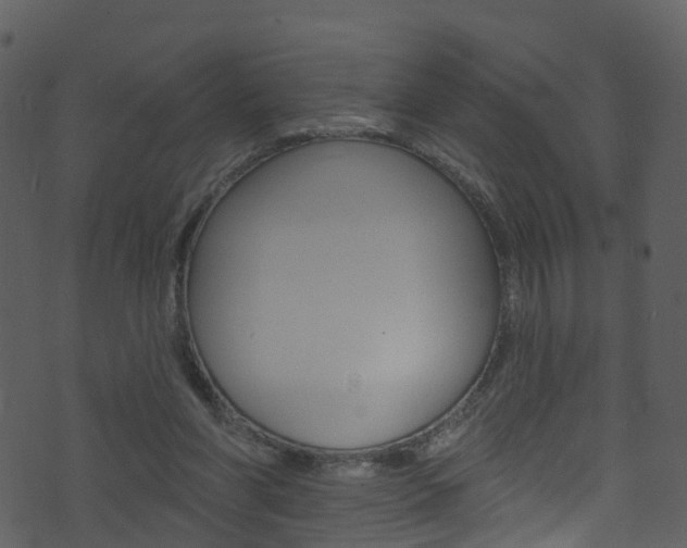 X0000074260206200608250908