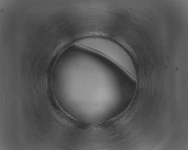 X0000074260207200608250908