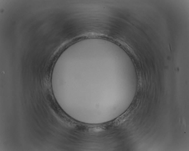 X0000074260208200608250908