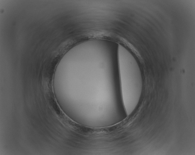 X0000074260209200608250908