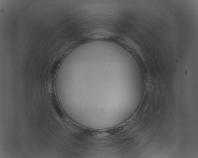 X0000074260210200608250908