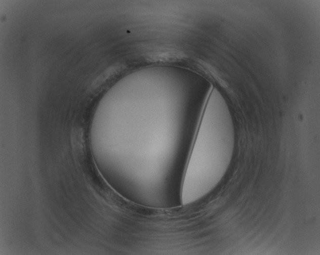 X0000074260211200608250908