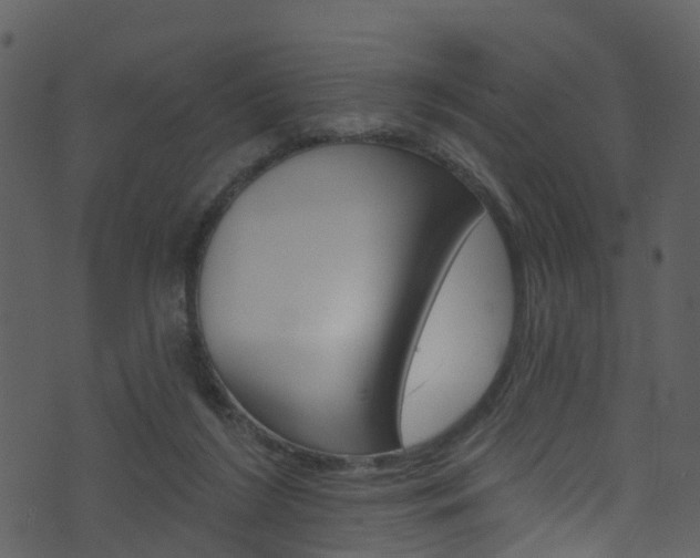 X0000074260212200608250908