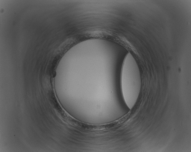 X0000074260213200608250908