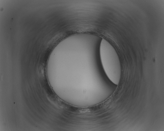 X0000074260214200608250908