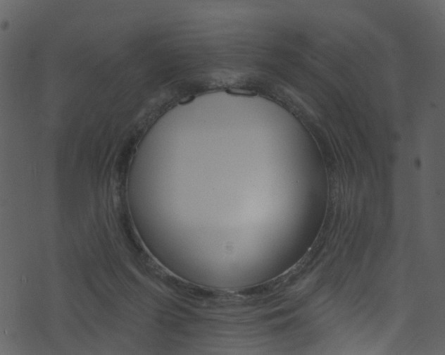 X0000074260215200608250908