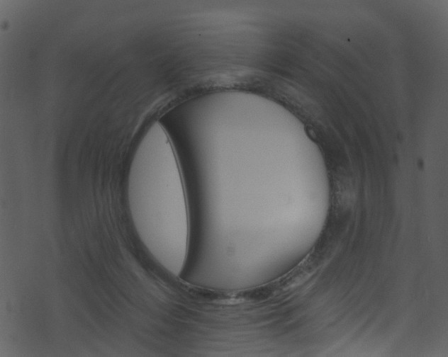 X0000074260216200608250908