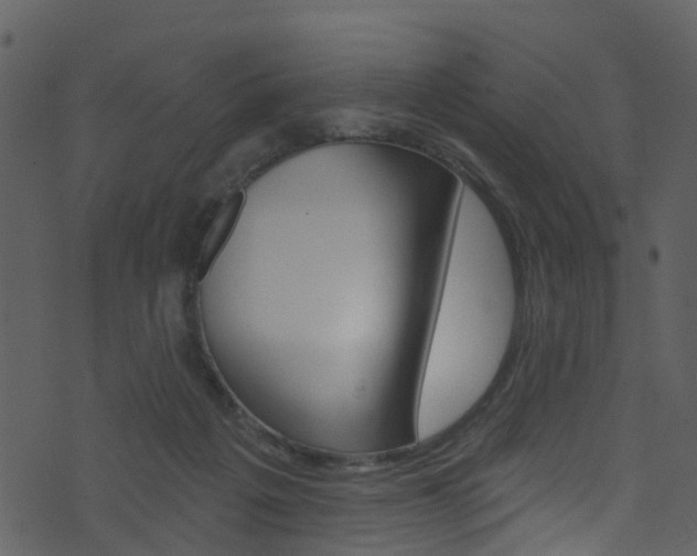 X0000074260217200608250908