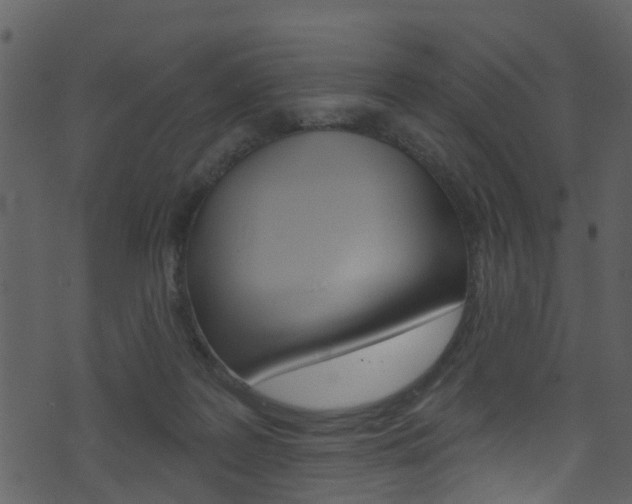 X0000074260219200608250908