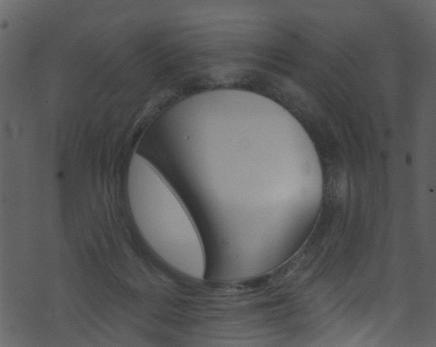 X0000074260220200608250908