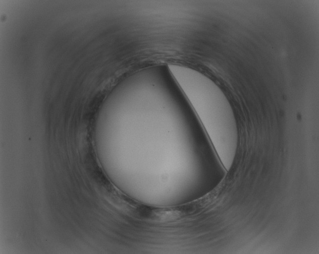 X0000074260221200608250908