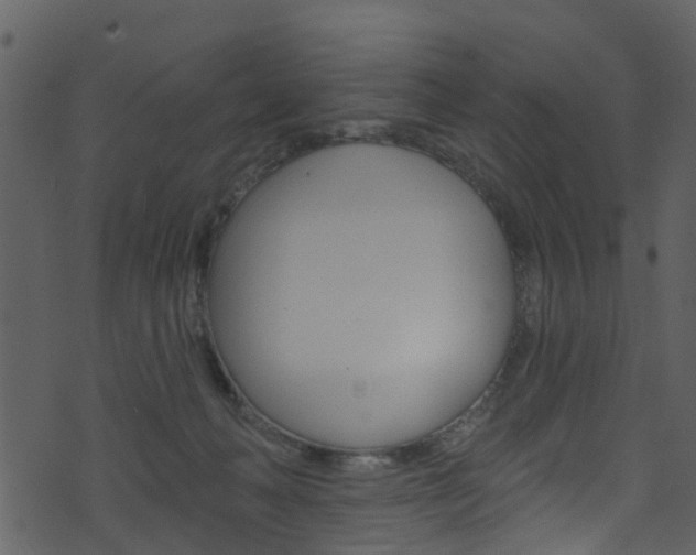 X0000074260222200608250908