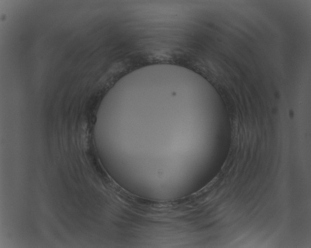 X0000074260223200608250908