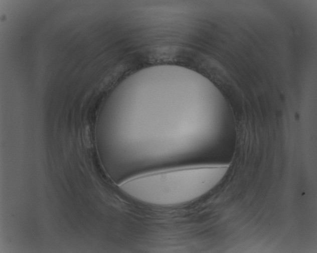 X0000074260224200608250908