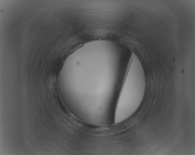 X0000074260225200608250908