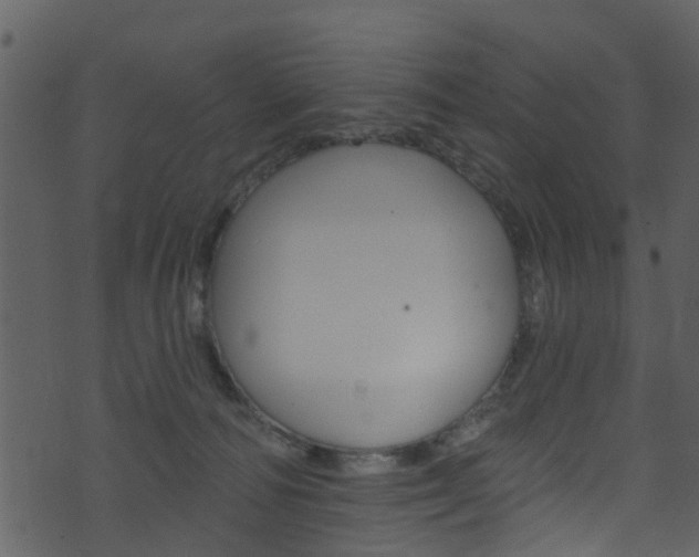 X0000074260226200608250908