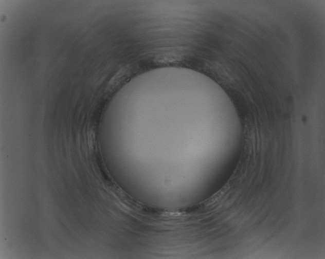 X0000074260227200608250908