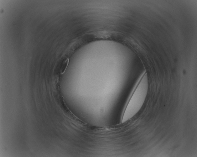 X0000074260229200608250908