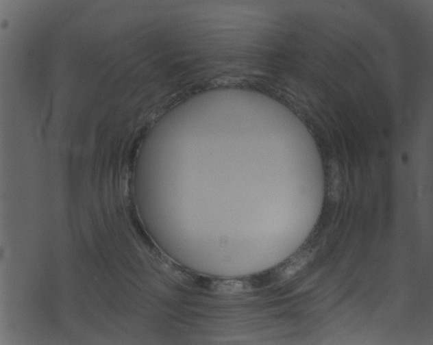 X0000074260230200608250908