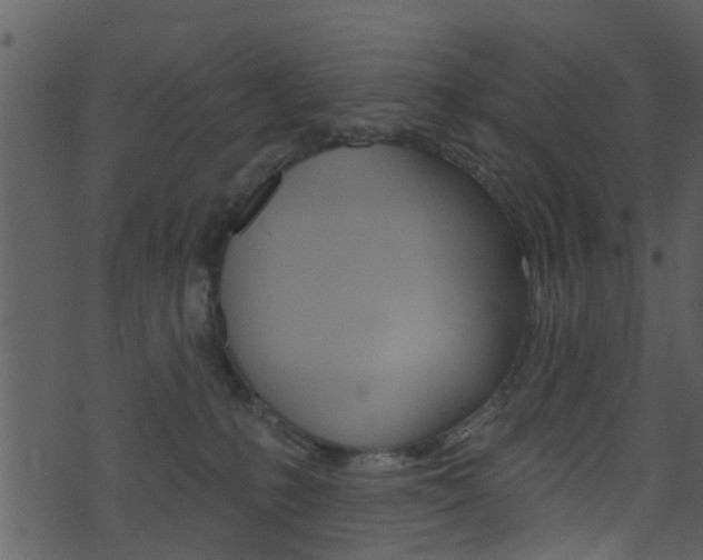 X0000074260231200608250908