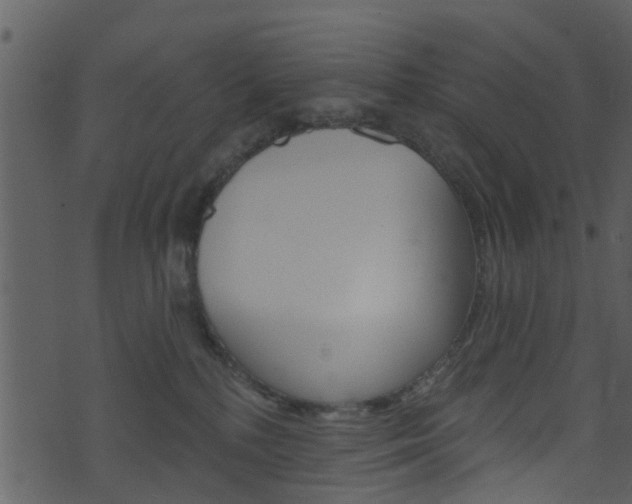 X0000074260232200608250908