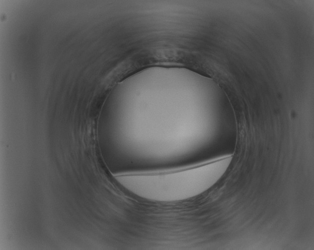 X0000074260233200608250908