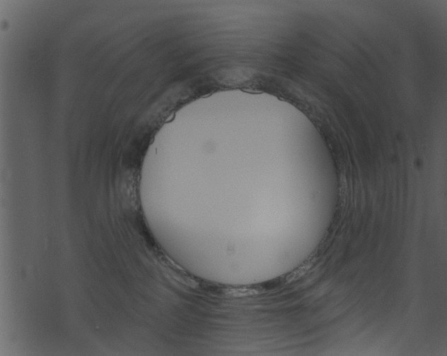 X0000074260234200608250908