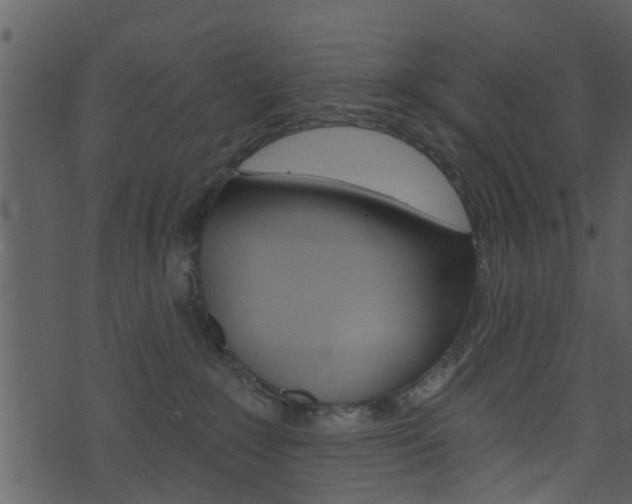 X0000074260235200608250908