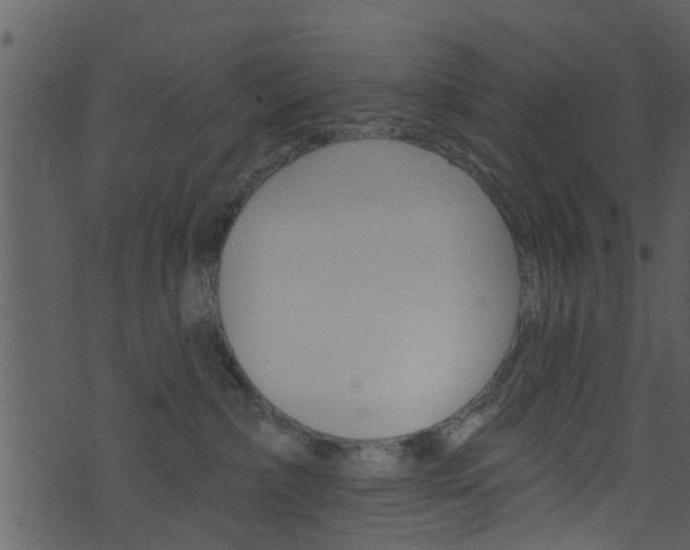 X0000074260236200608250908