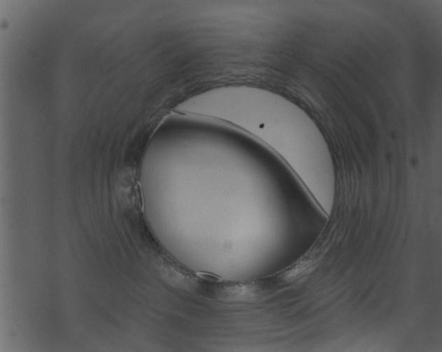 X0000074260237200608250908