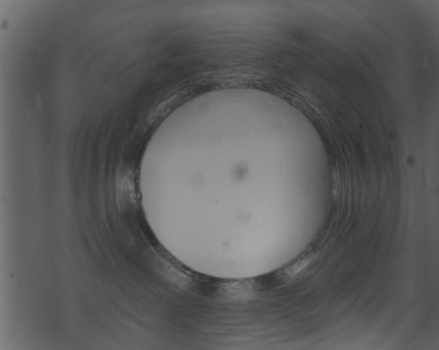 X0000074260238200608250908