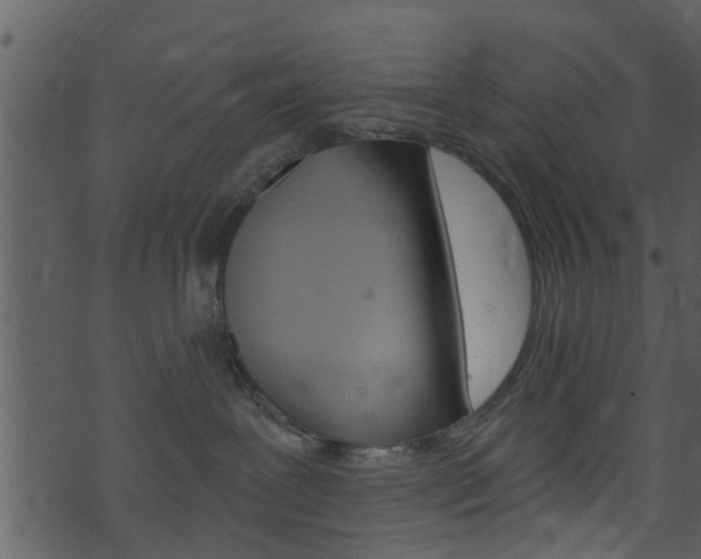 X0000074260239200608250908