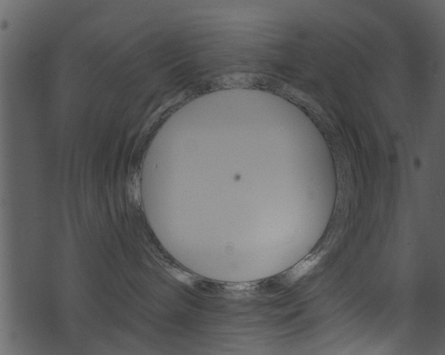 X0000074260240200608250908