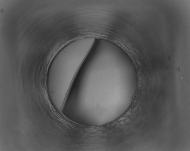 X0000074260241200608250907