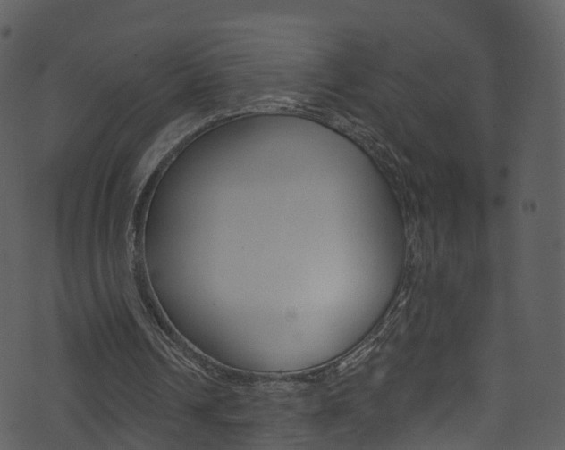 X0000074260242200608250907