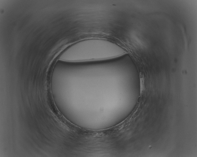 X0000074260243200608250907