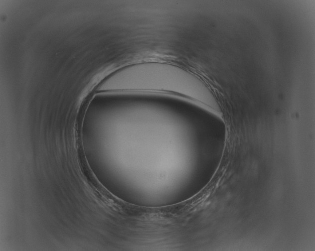 X0000074260244200608250907