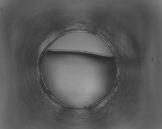 X0000074260245200608250907