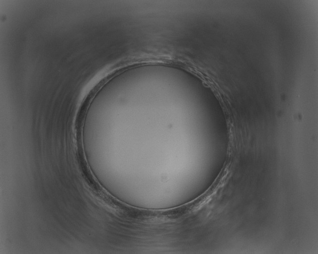 X0000074260246200608250907