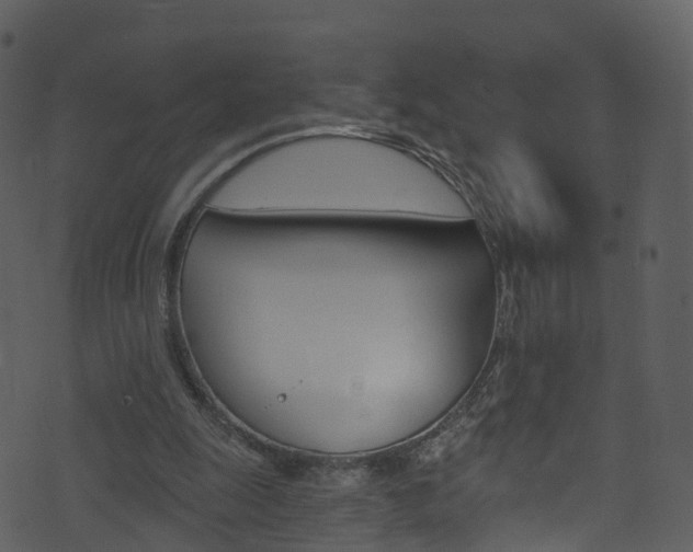 X0000074260247200608250907