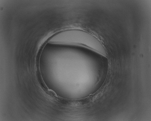 X0000074260248200608250907