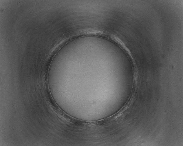 X0000074260249200608250907