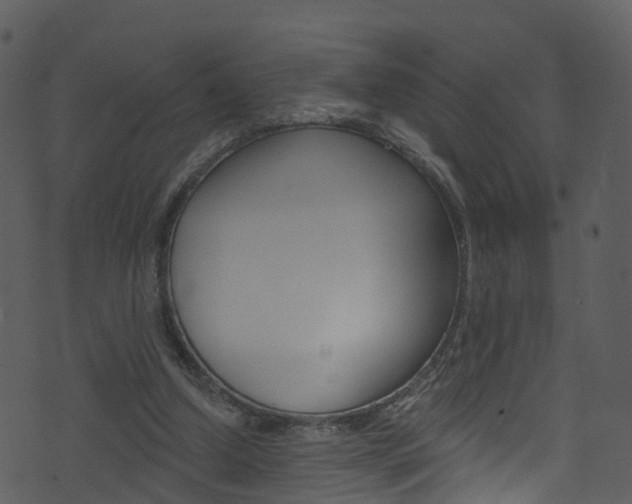 X0000074260250200608250907