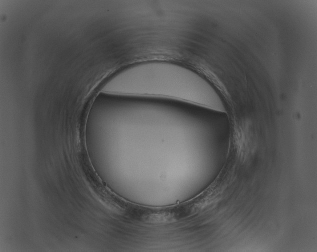 X0000074260251200608250907