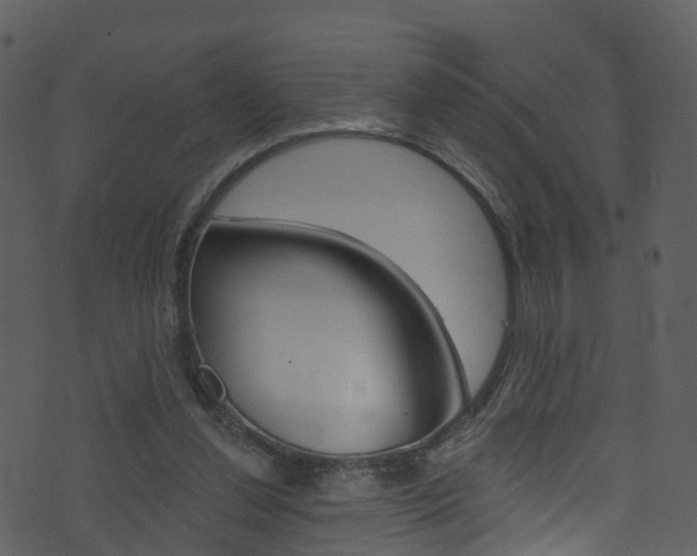 X0000074260252200608250907